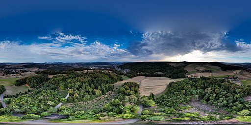 Waldh&uuml;tte Gebenstorf